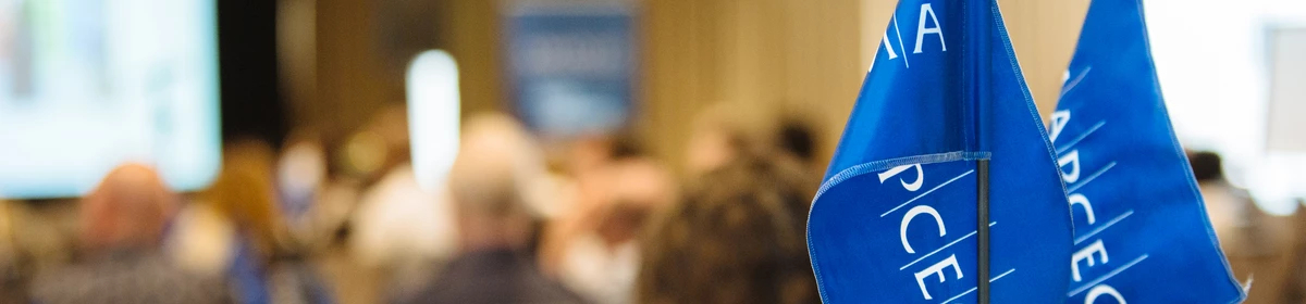 Two AMAPCEO desk flags on a table in a conference room