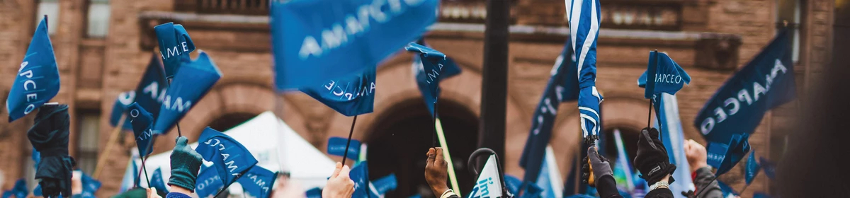 A large group of members outside of Queen's Park, holding AMAPCEO flags.