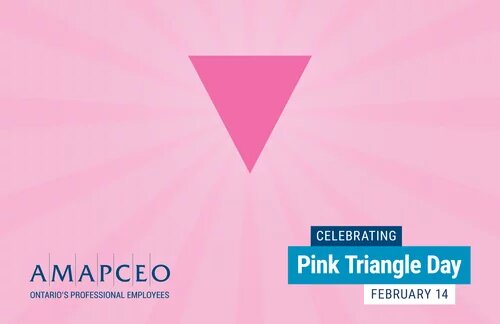 image of a pink triangle