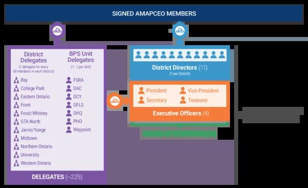 A description of AMAPCEO's structure.