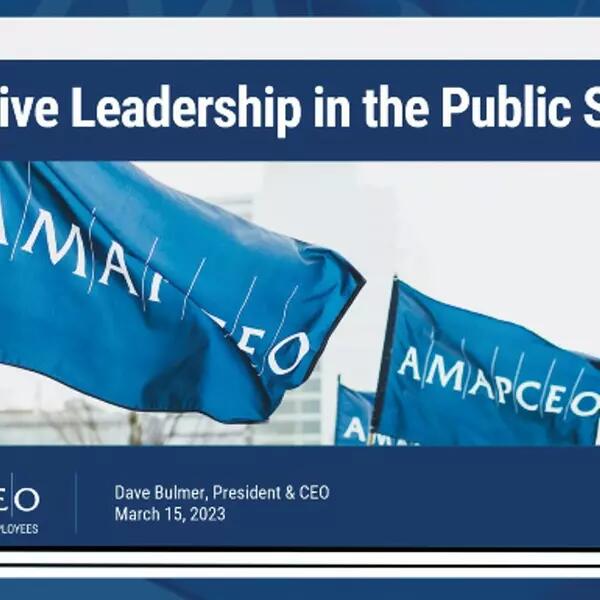 A screenshot of the slide deck of one of AMAPCEO's presentations