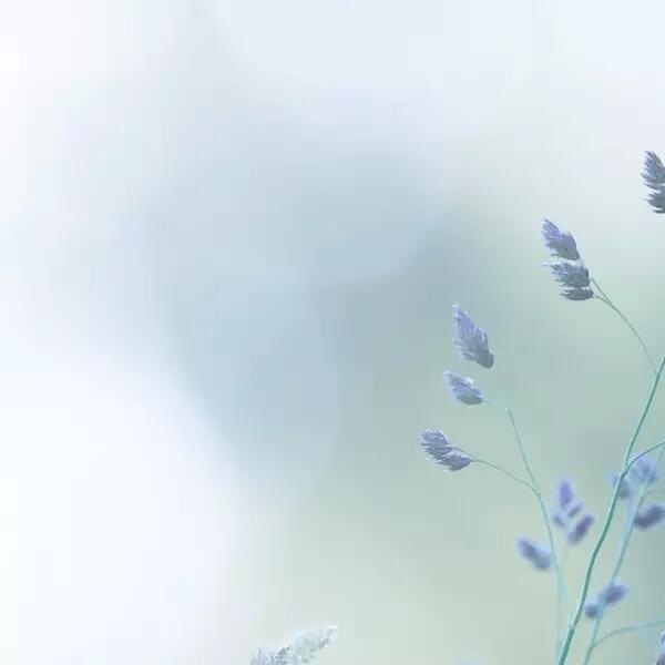 Banner Image of Ontario Public Service Inclusive Counselling Services