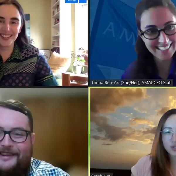 Zoom screenshot of Ben-Ari, Coffer, Cully and Hoy